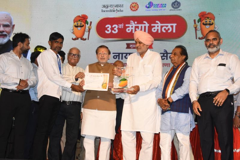 मैंगो मेला