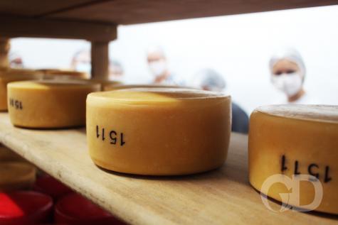 Festival do Queijo e Produtos Lácteos de Mato Grosso