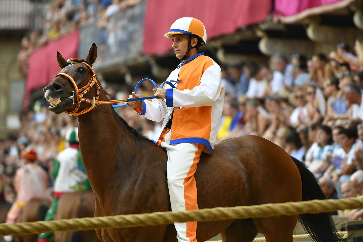 Palio di Siena