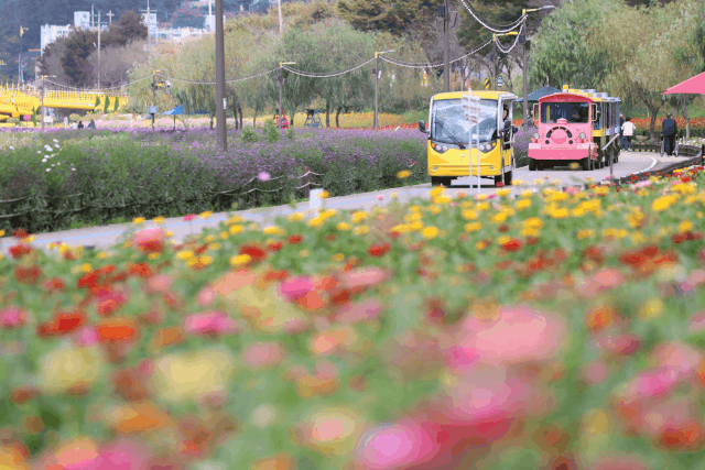 Jangseong-gun Autumn Festival
