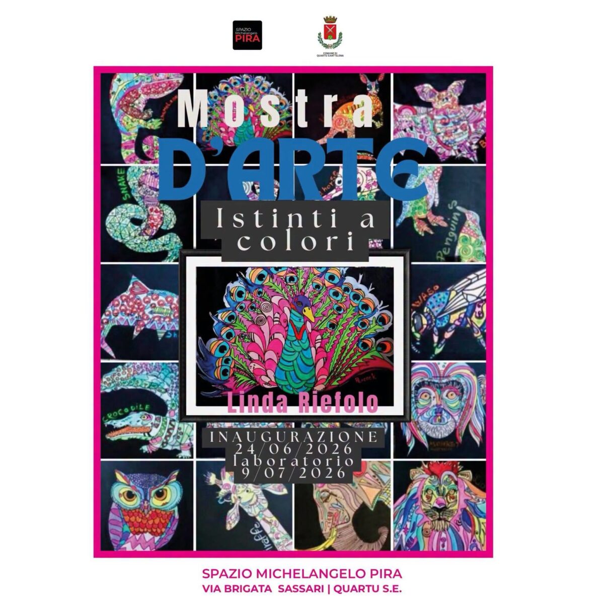 Istinti a colori