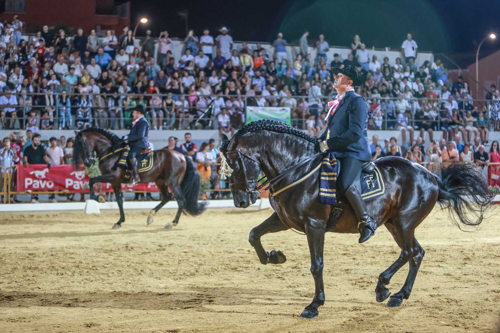 FEGADO Festival