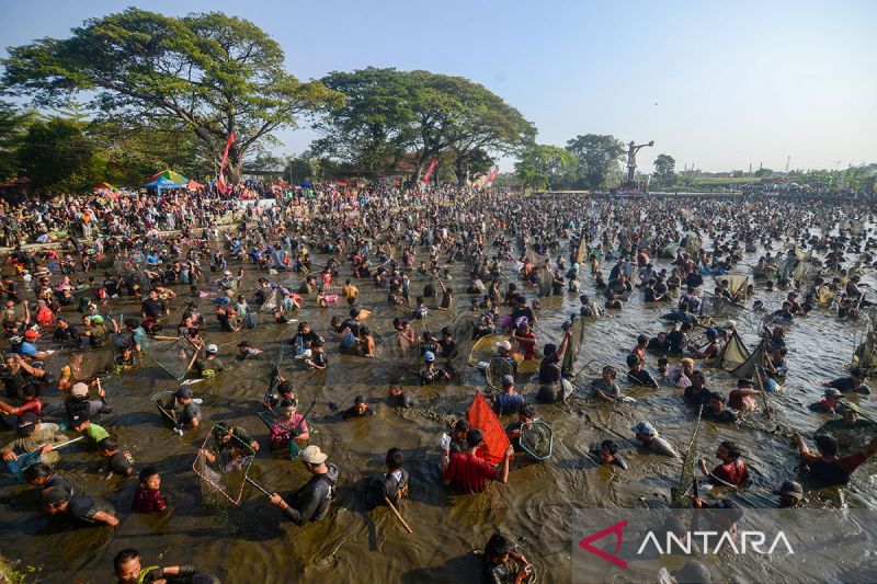 Fish Festival