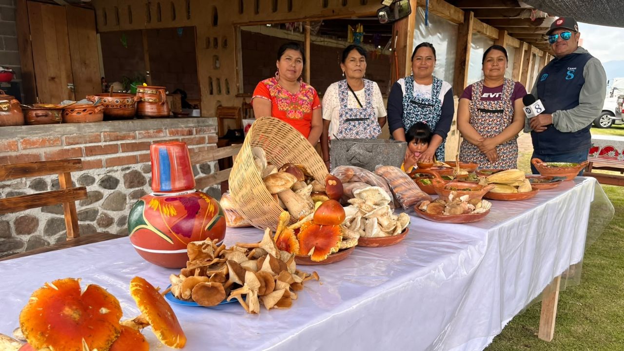 Feria del Hongo