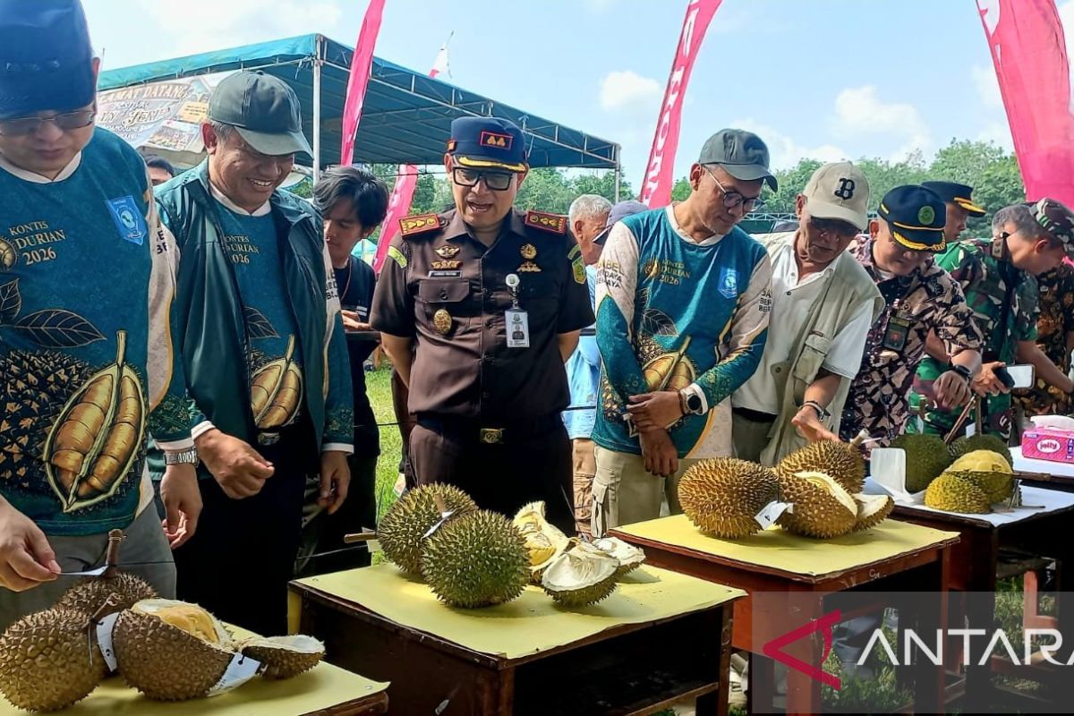 Festival Durian Jerieng