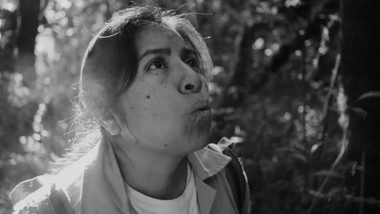 Festival de Cines del Sur de Granada