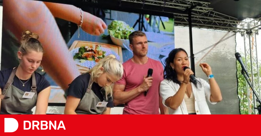 Vidle Vidlička FEST