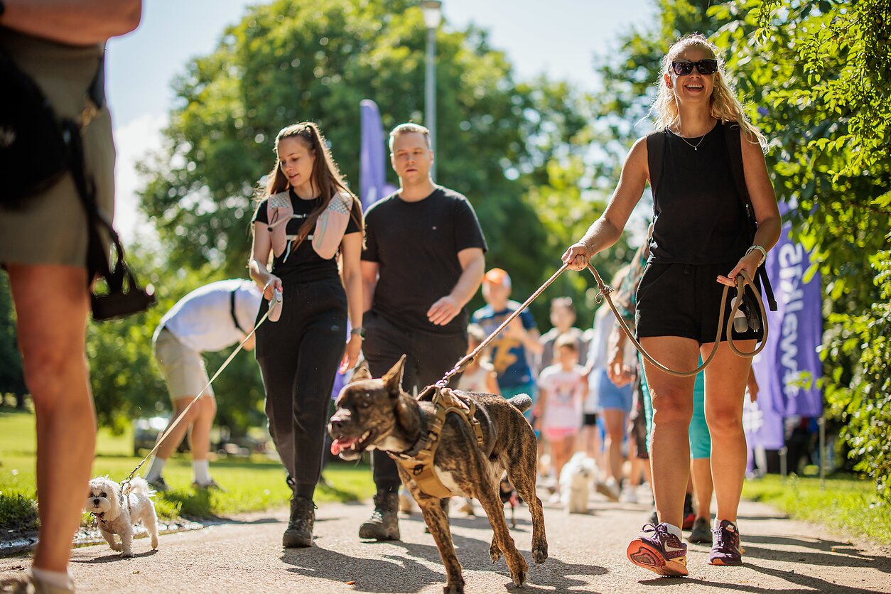 Upės festivalis