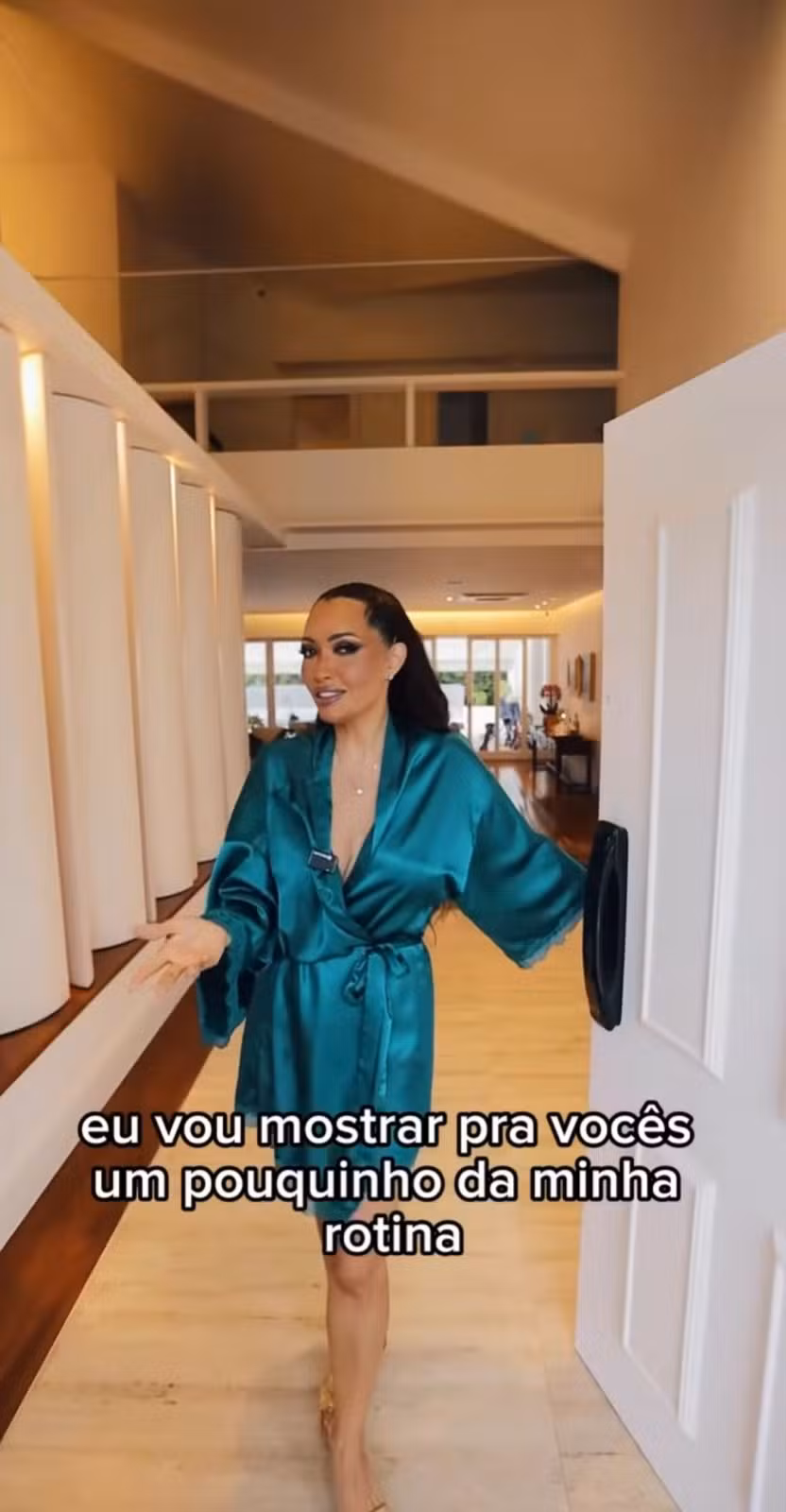 Turnê 'O último voo da nave'