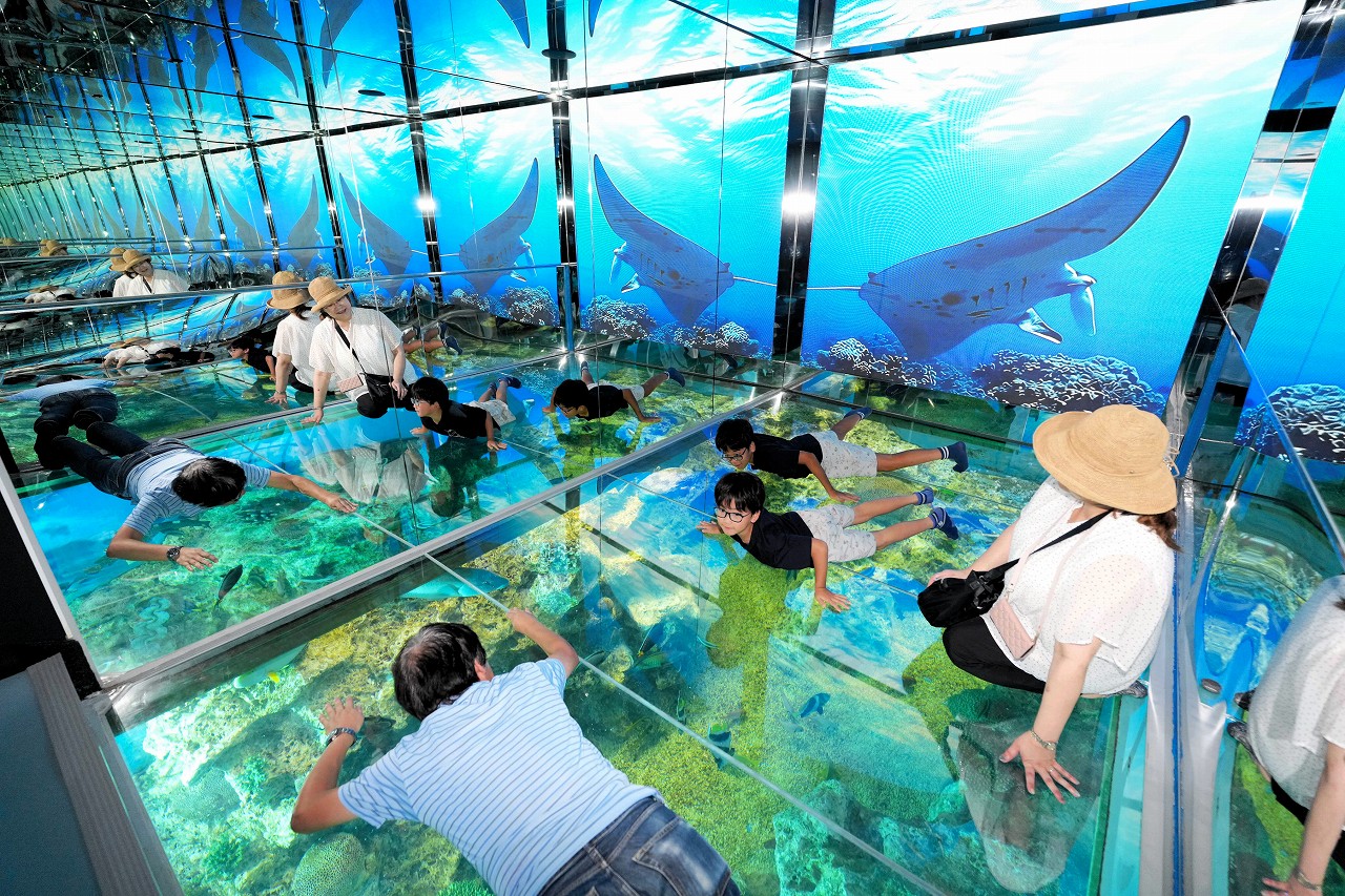 越前松島水族館「海洋館」リニューアルオープン
