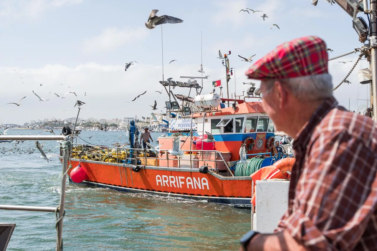 Festival da Sardinha de Portimão