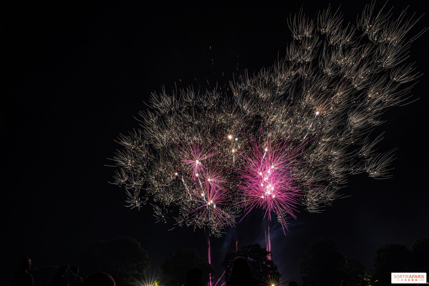 Fête nationale à Verneuil-sur-Seine - Le Bal au Château