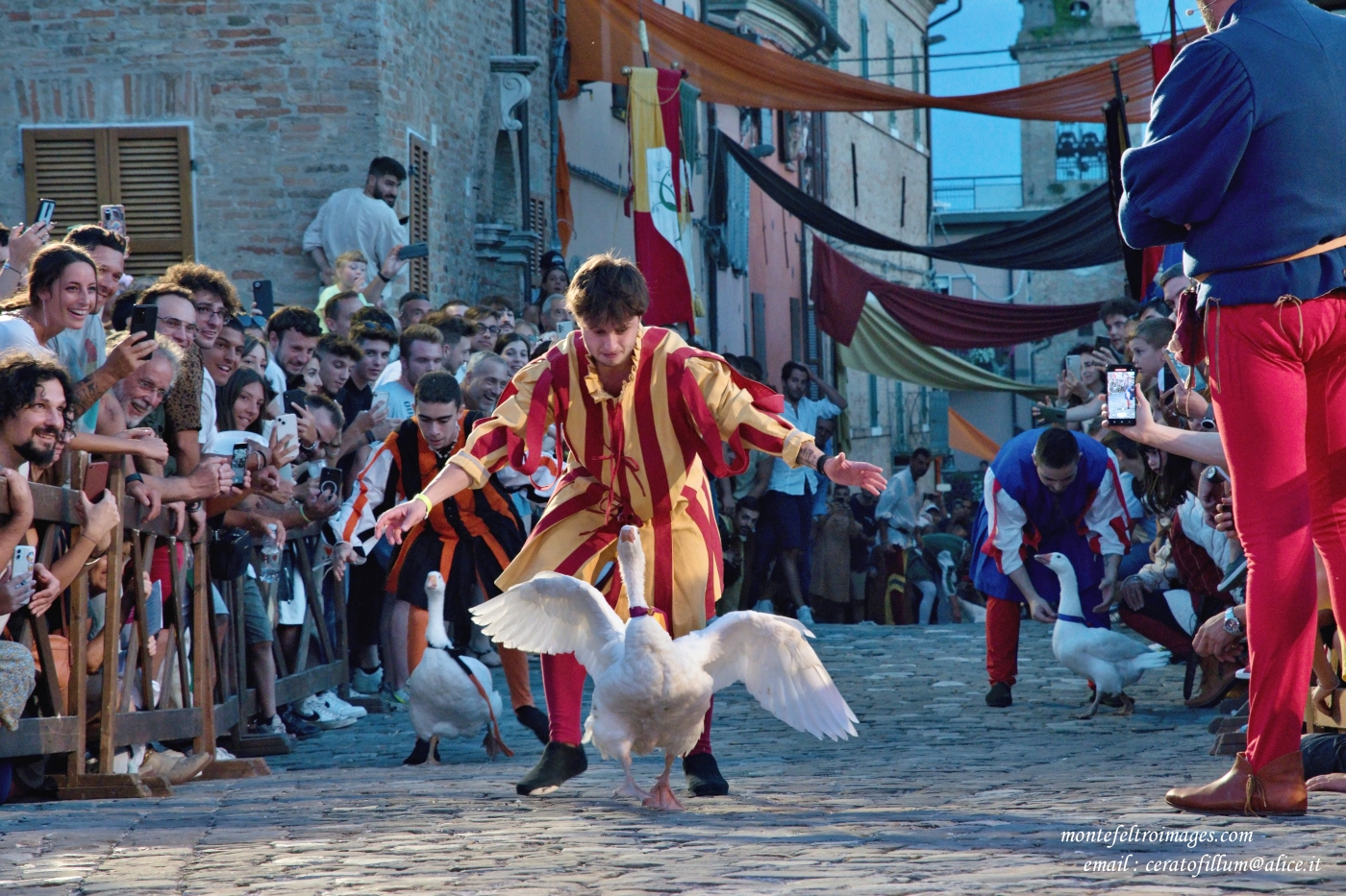 Palio de lo Daino