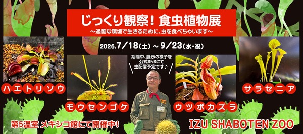 じっくり観察！食虫植物展