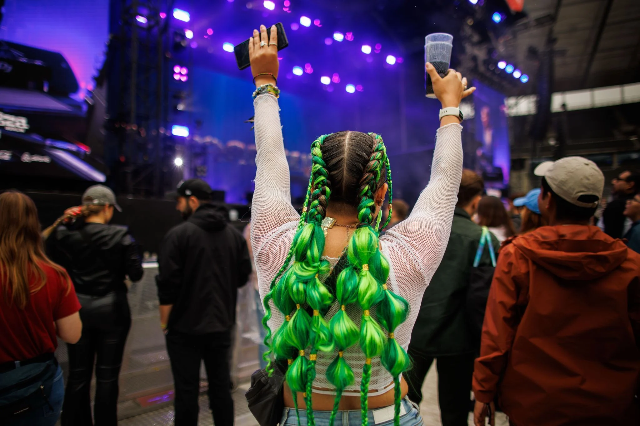 Lollapalooza Festival
