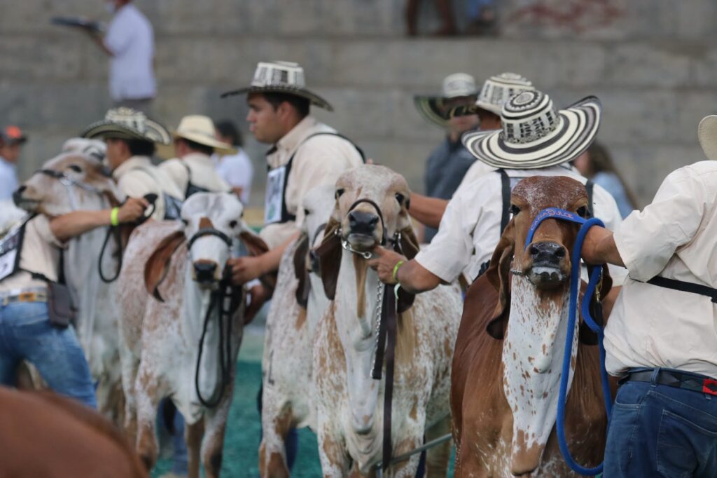 79.ª Feria Nacional Cebú