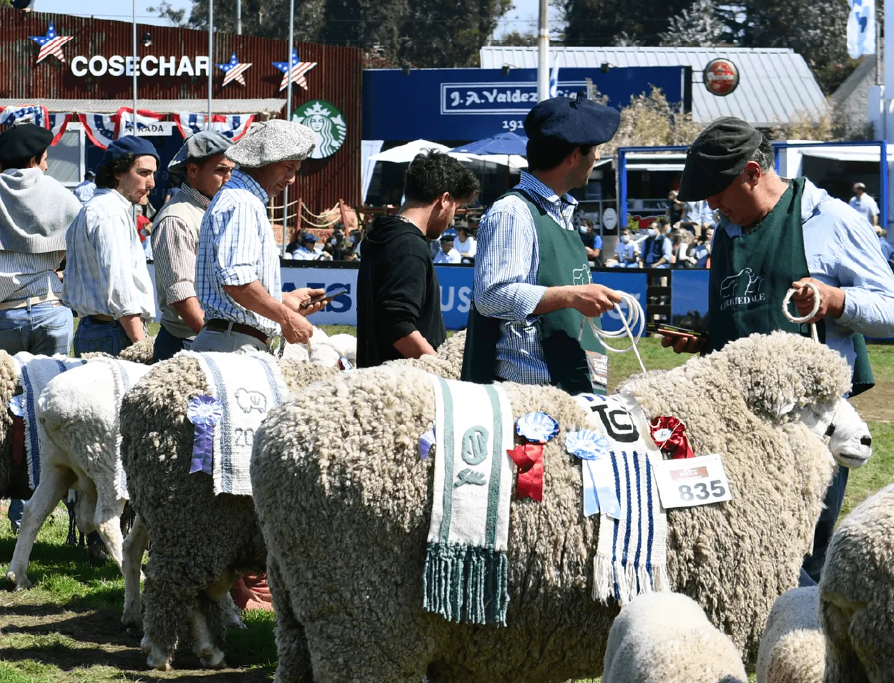 Expo Prado