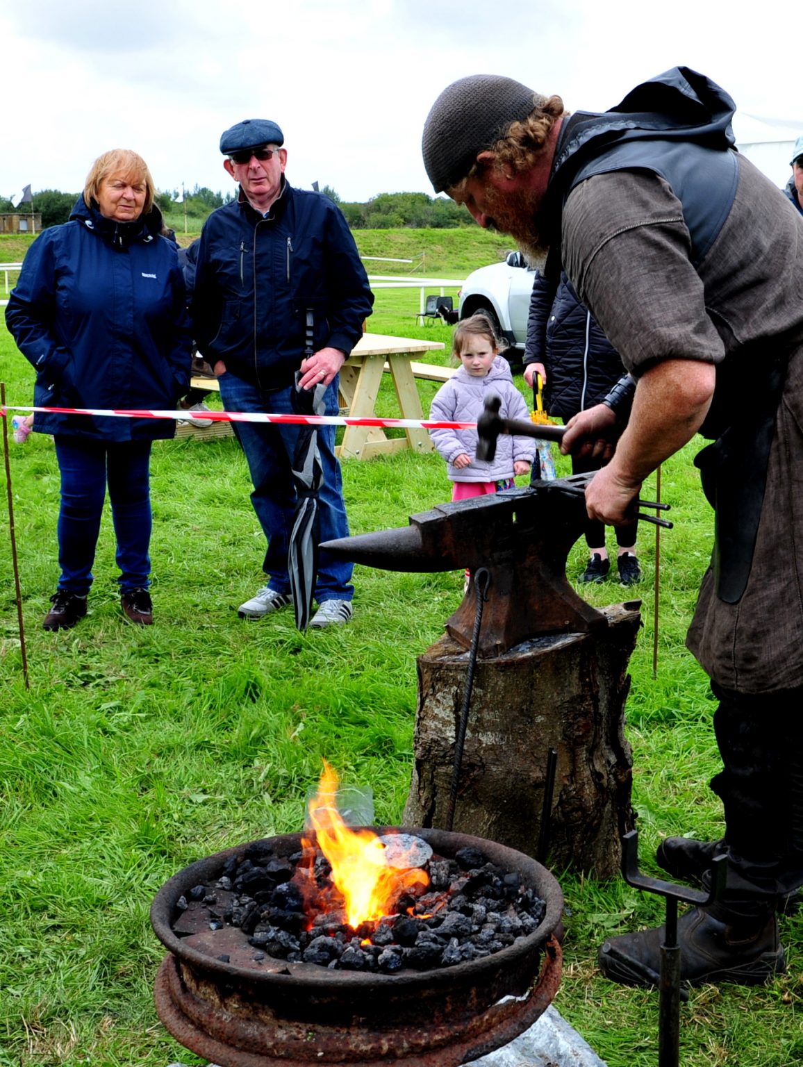 Clarecastle Show