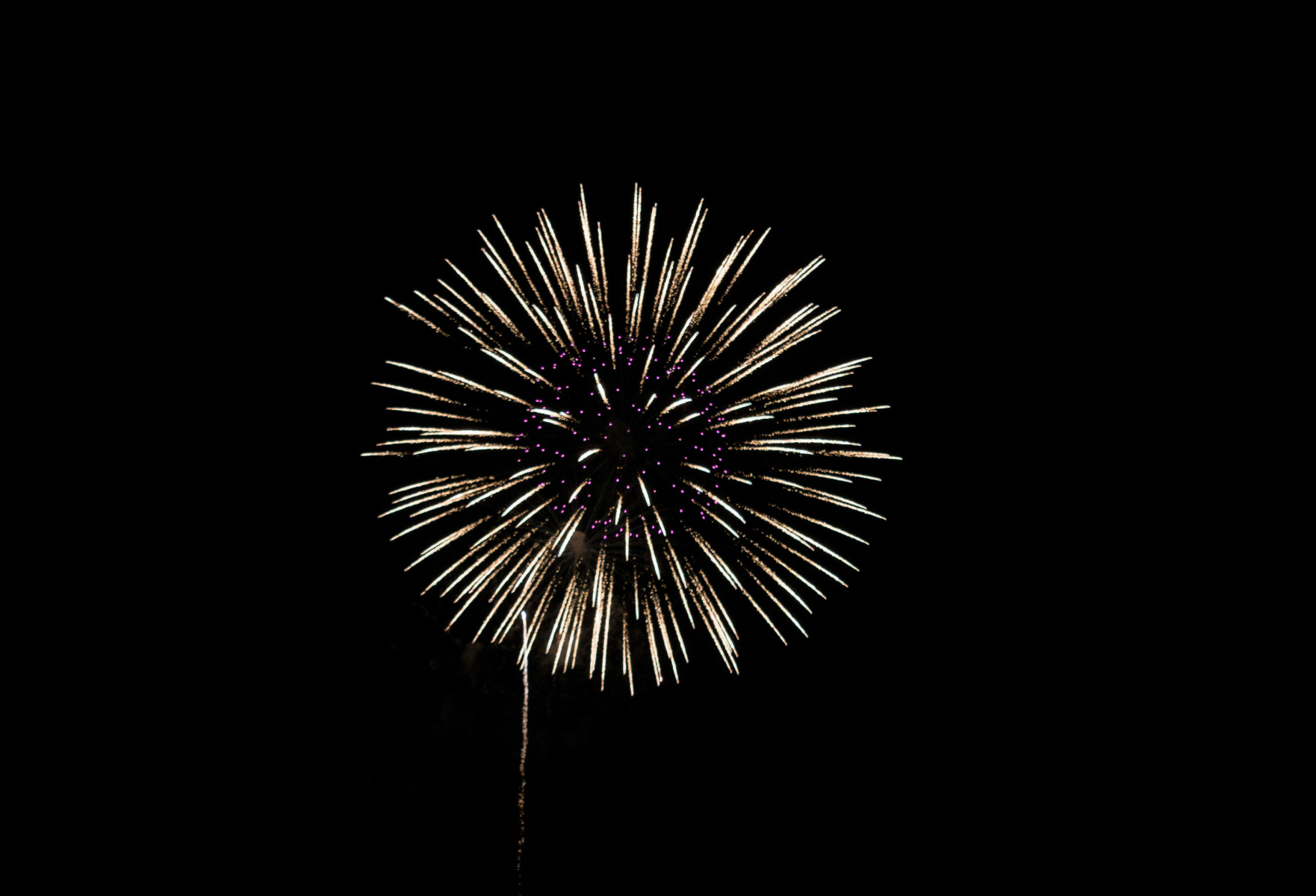Fête Nationale 2026 à Gentilly
