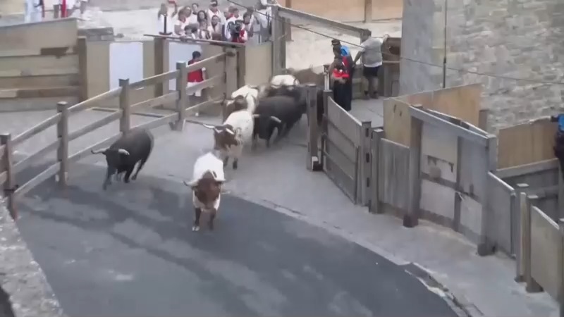 Sanfermin Festival