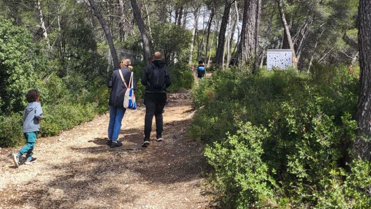 Le Petit festival de la forêt
