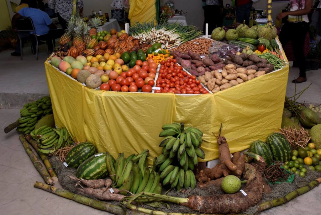72nd Denbigh Agricultural, Industrial and Food Show