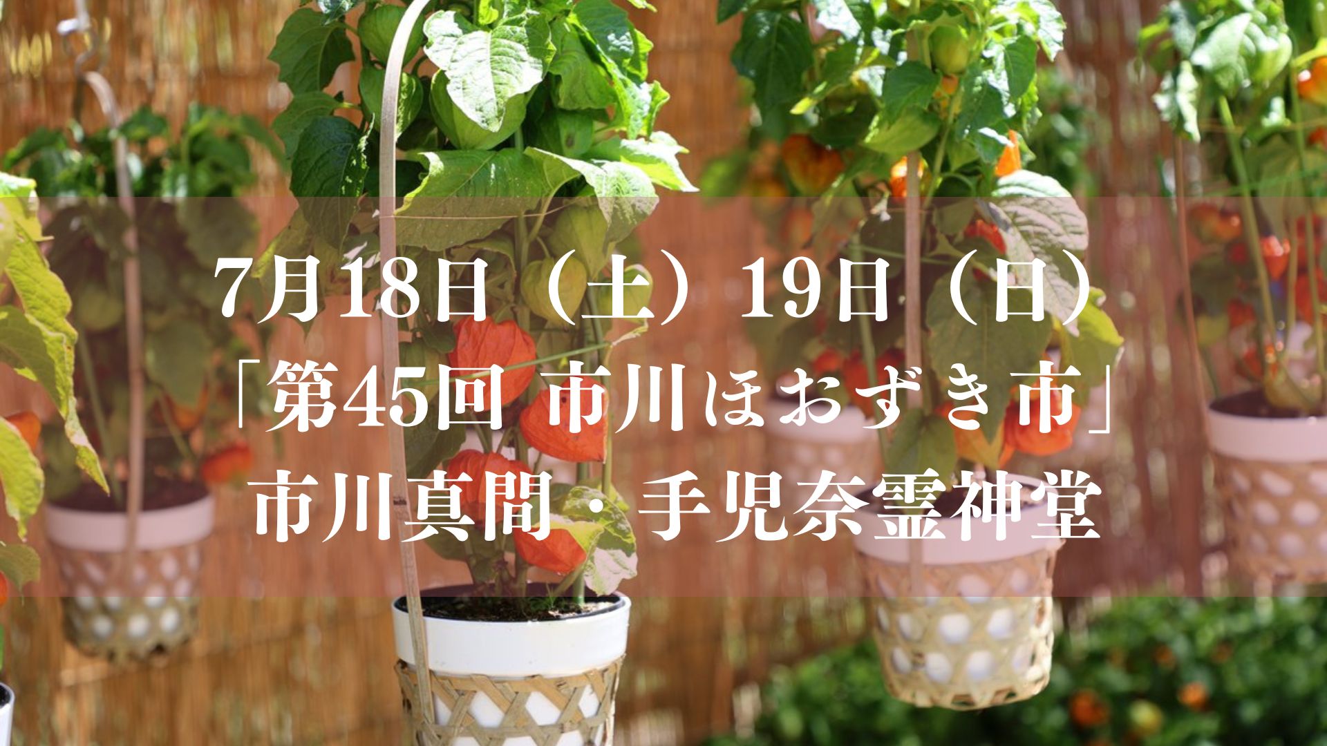 第45回市川ほおずき市