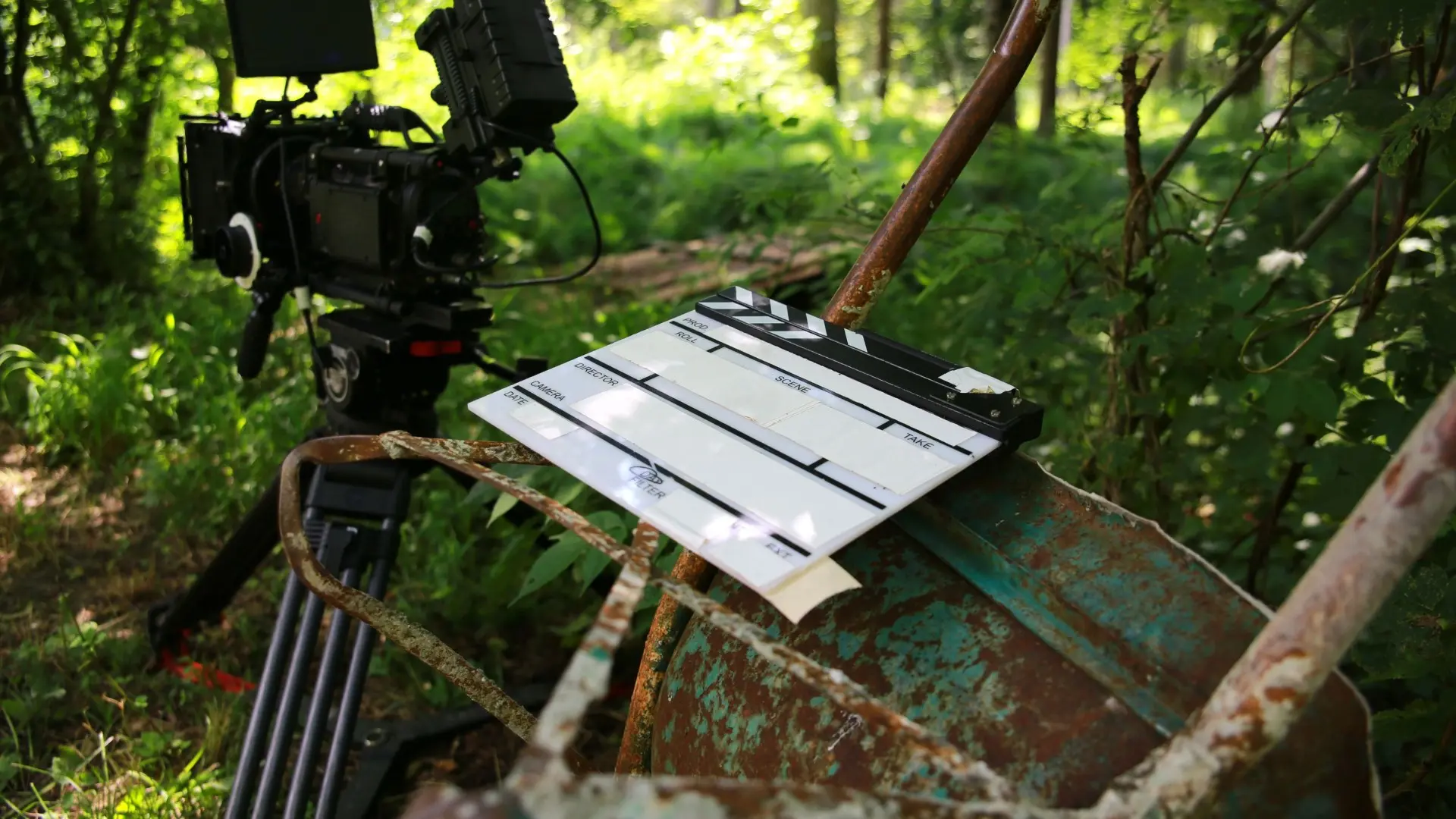 Skiscionera – Cinema in verde
