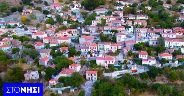 Διήμερο Φεστιβάλ Ρητίνης «Στα μονοπάτια των ρετσινάδων»