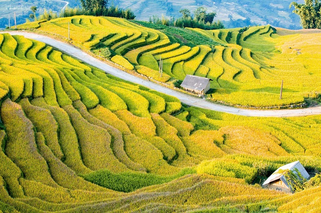 Lễ hội mùa Thu năm 2026