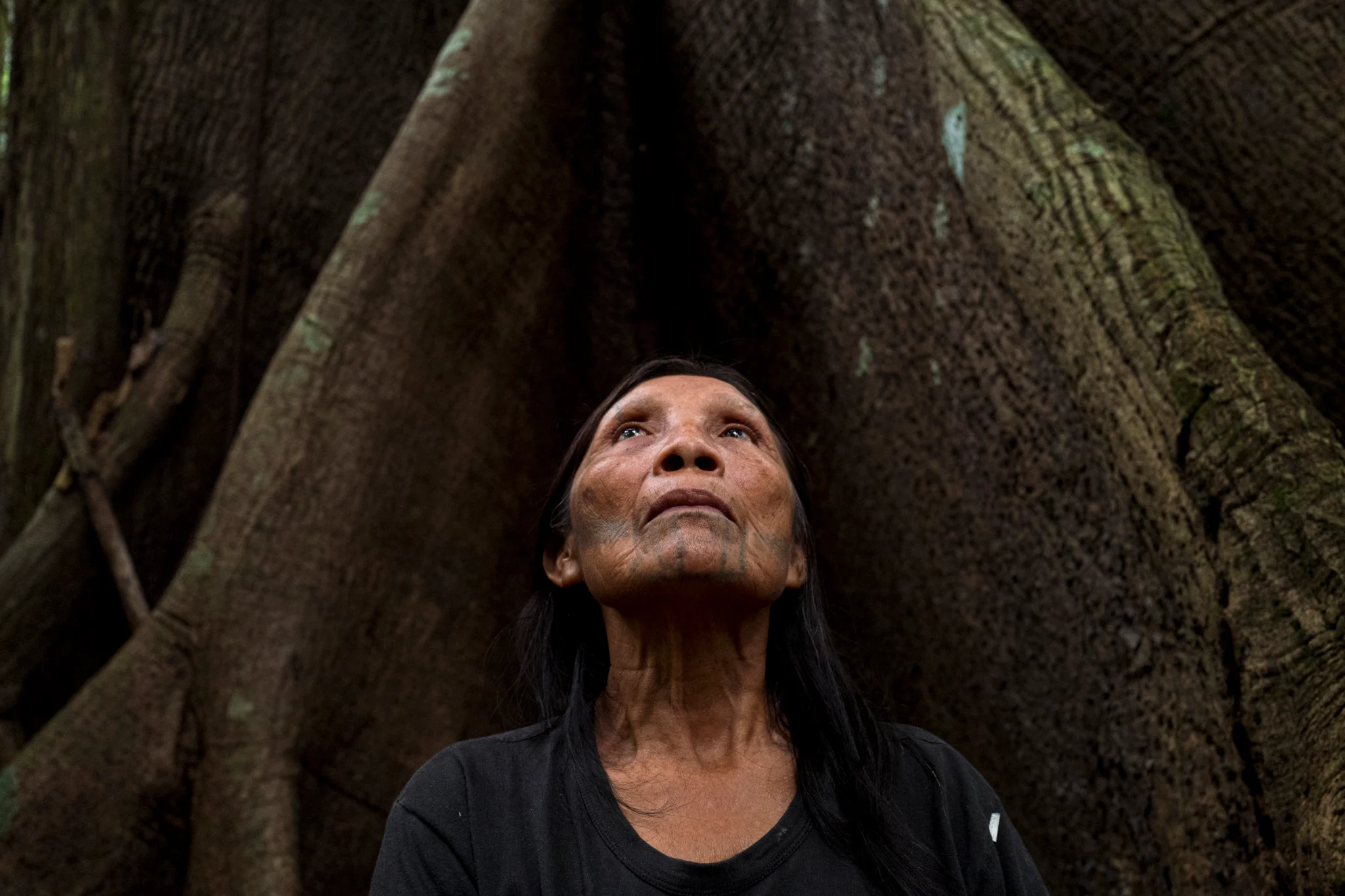 Exposição “Amazônia Confidencial”