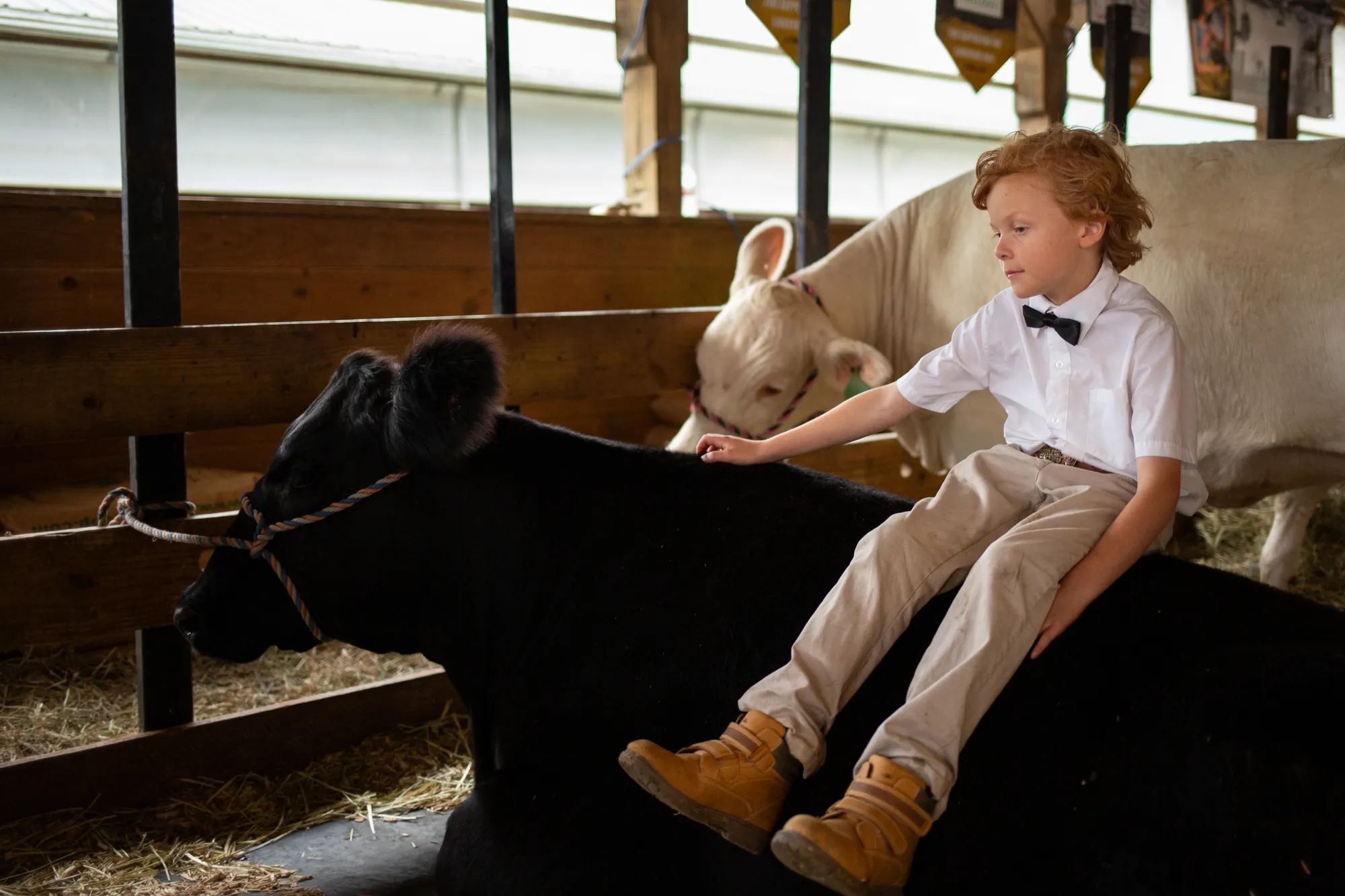 Howard County Fair