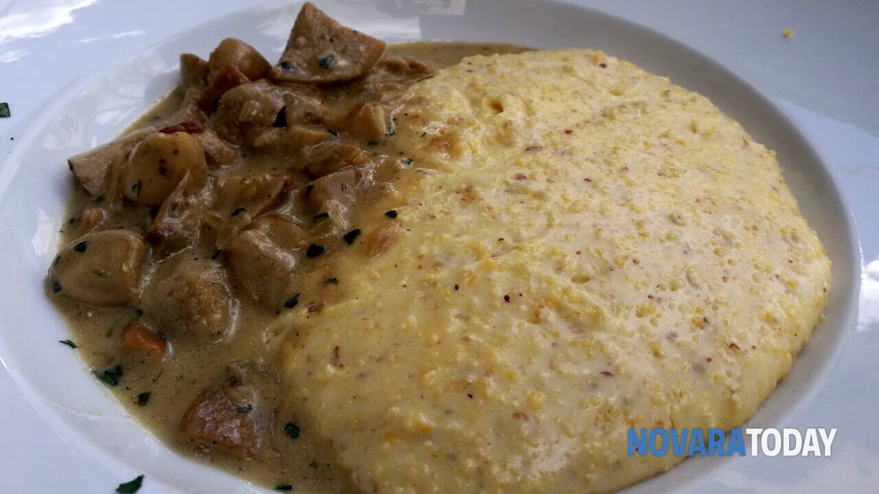 Sagra del fungo porcino