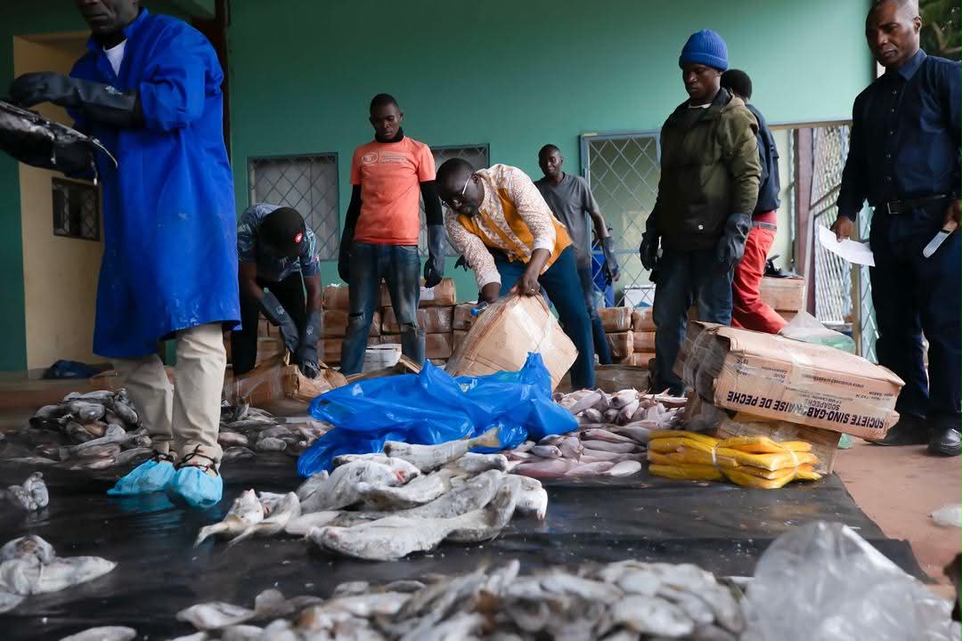 5ᵉ édition de la Foire itinérante aux poissons