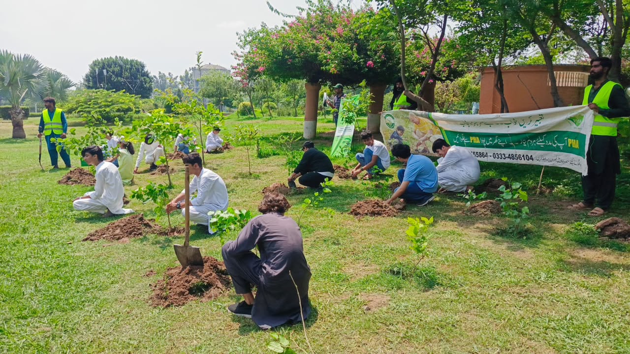 Independence Day Tree Plantation Campaign