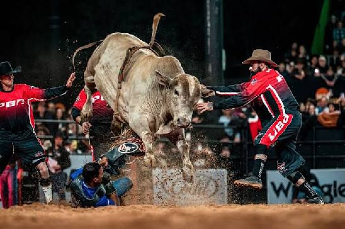 Mato Grosso AgroFestival