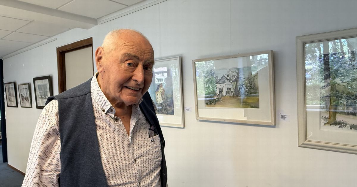 Henk Pries - De kunst van het weglaten
