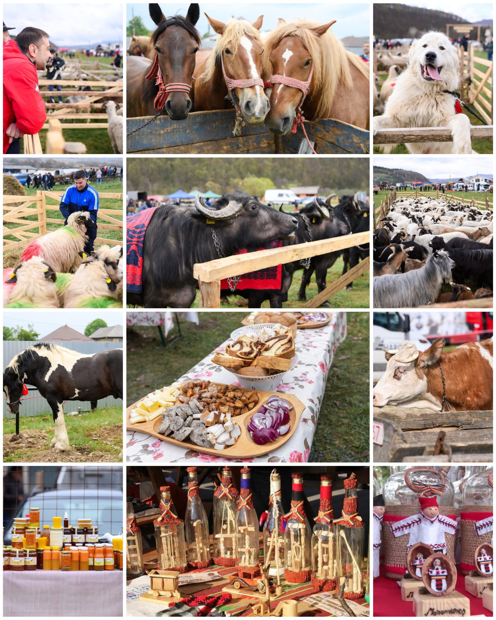 AgroMaramureș
