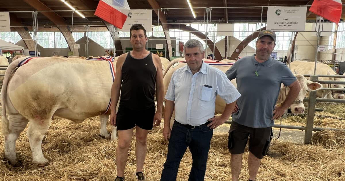 Fête du Charolais