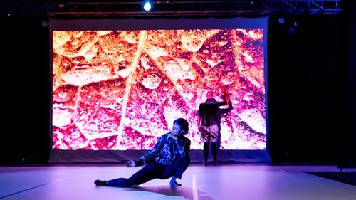 Freistil Festival