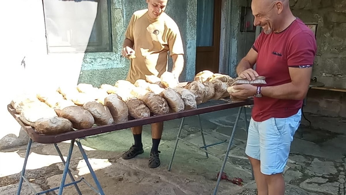 Fête du pain
