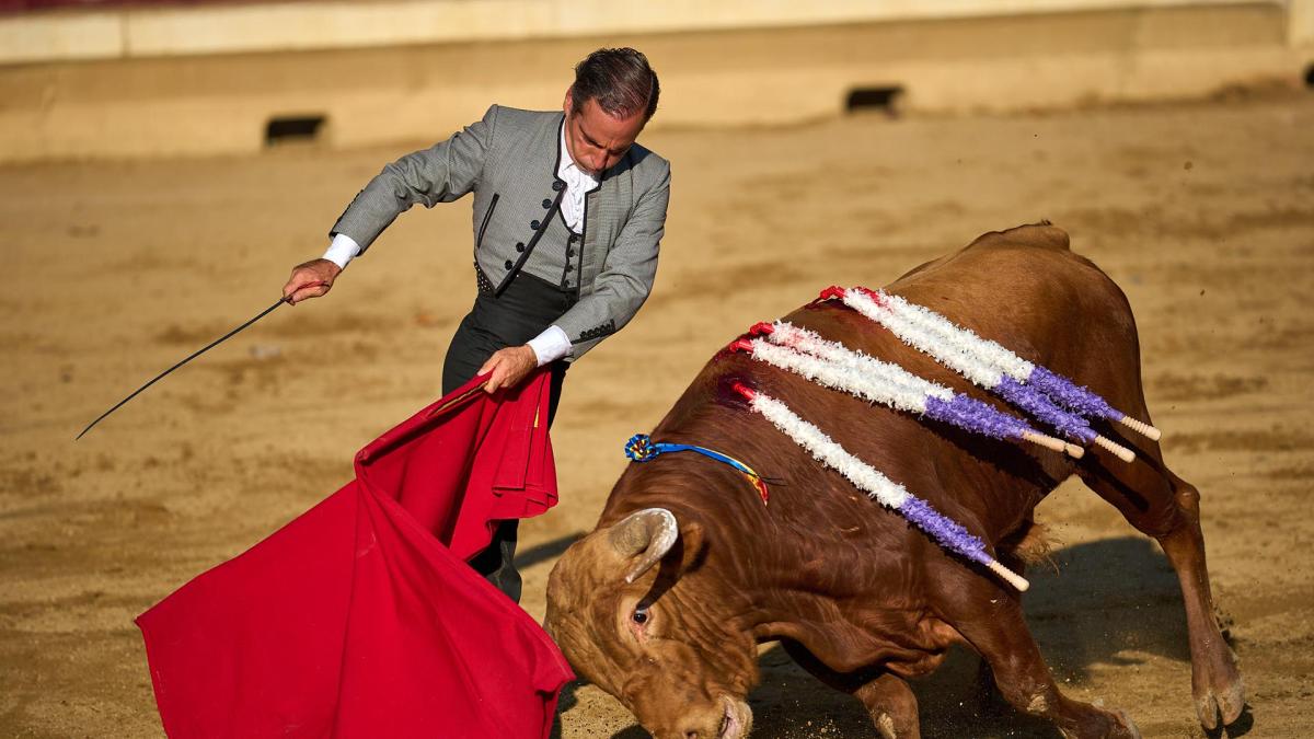 Festival mixto de Tafalla