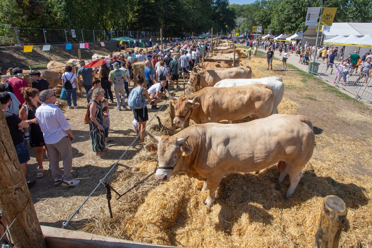 Feria de Ganado Autóctono Autentika