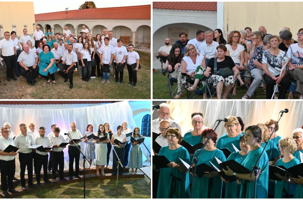 Koncert pod zvijezdama