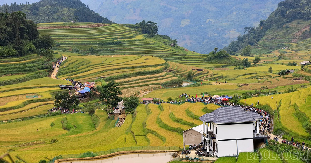 Lễ hội Mùa vàng Sín Chéng lần thứ I năm 2026