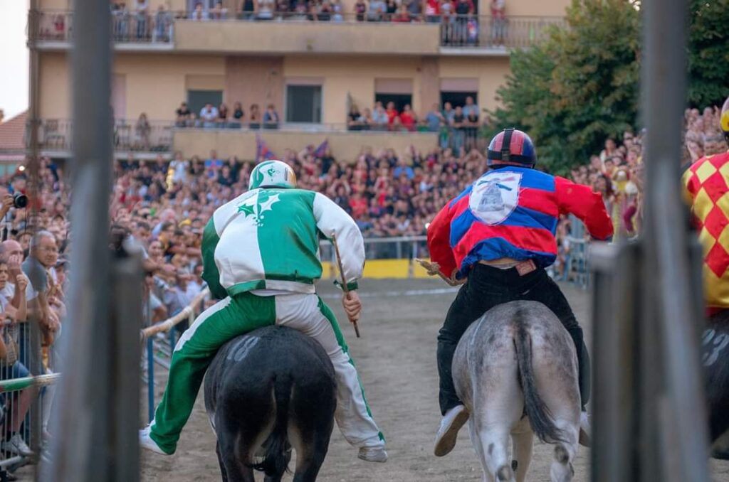 Palio dei Somari