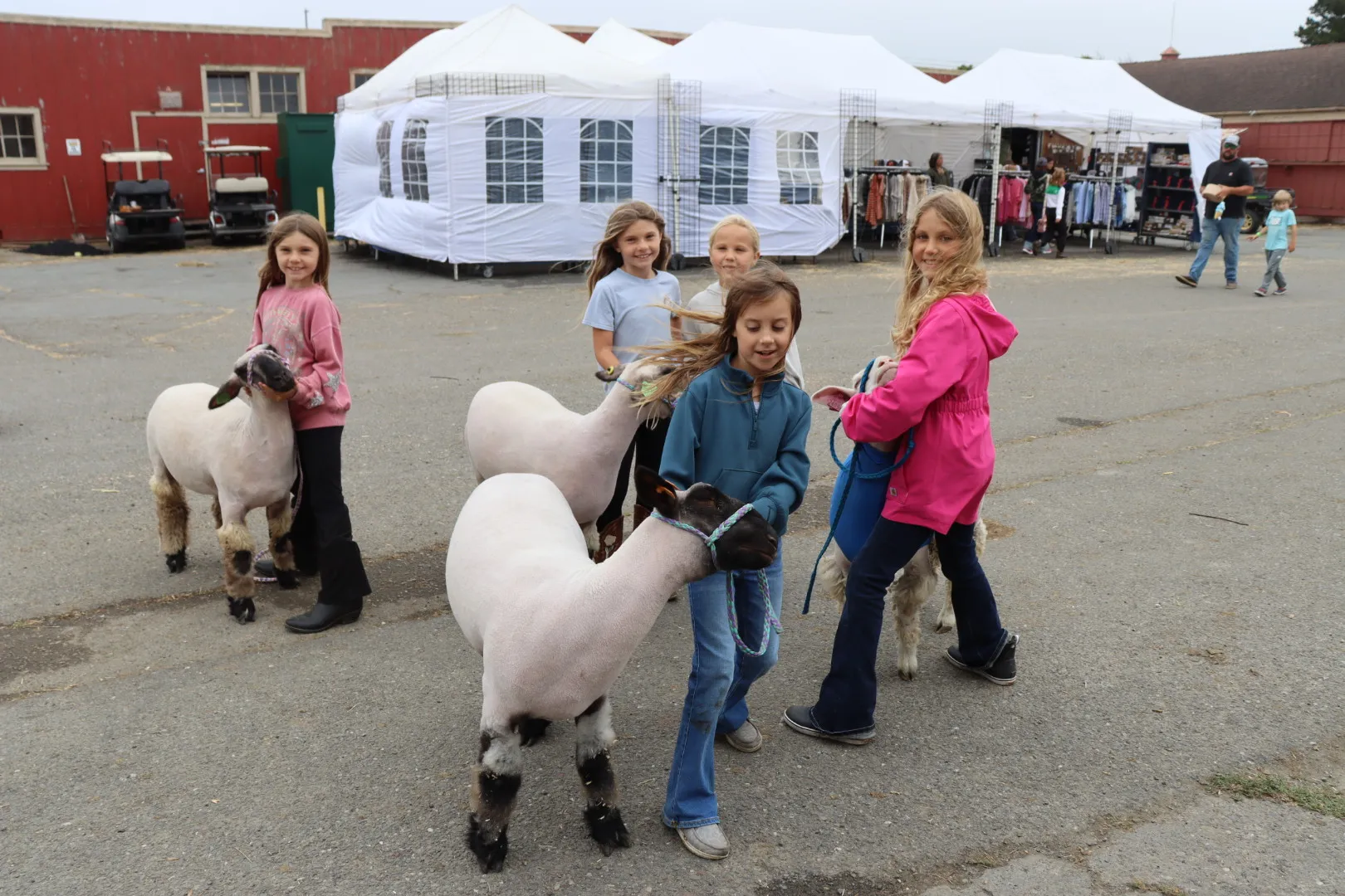 Humboldt County Fair