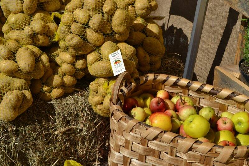 Mostra Mercato degli Orti di Pignone