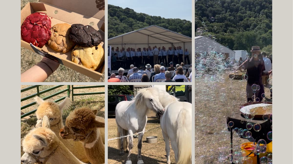 Monmouthshire Show