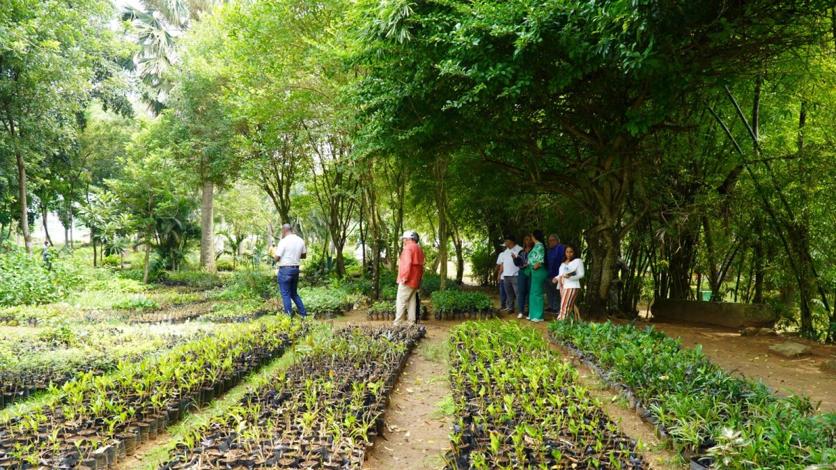 Primer Festival de Plantas 2026